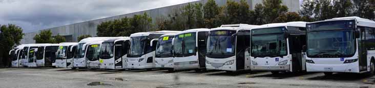 Berwick K230UB Optimus 40, K310UB Express 60, MAN 18.290 MCV 45, Mercedes OH1830 Express 21, King Long 55, Scania K360CB Touring 6, BCI Senator 27, OH1830 Orbit Mills-Tui Orbit 30, i6 & 10, Higer Road Boss 34, OH1830 Express 9, O405NH ABM CB60 37, unidented. 51 & 55